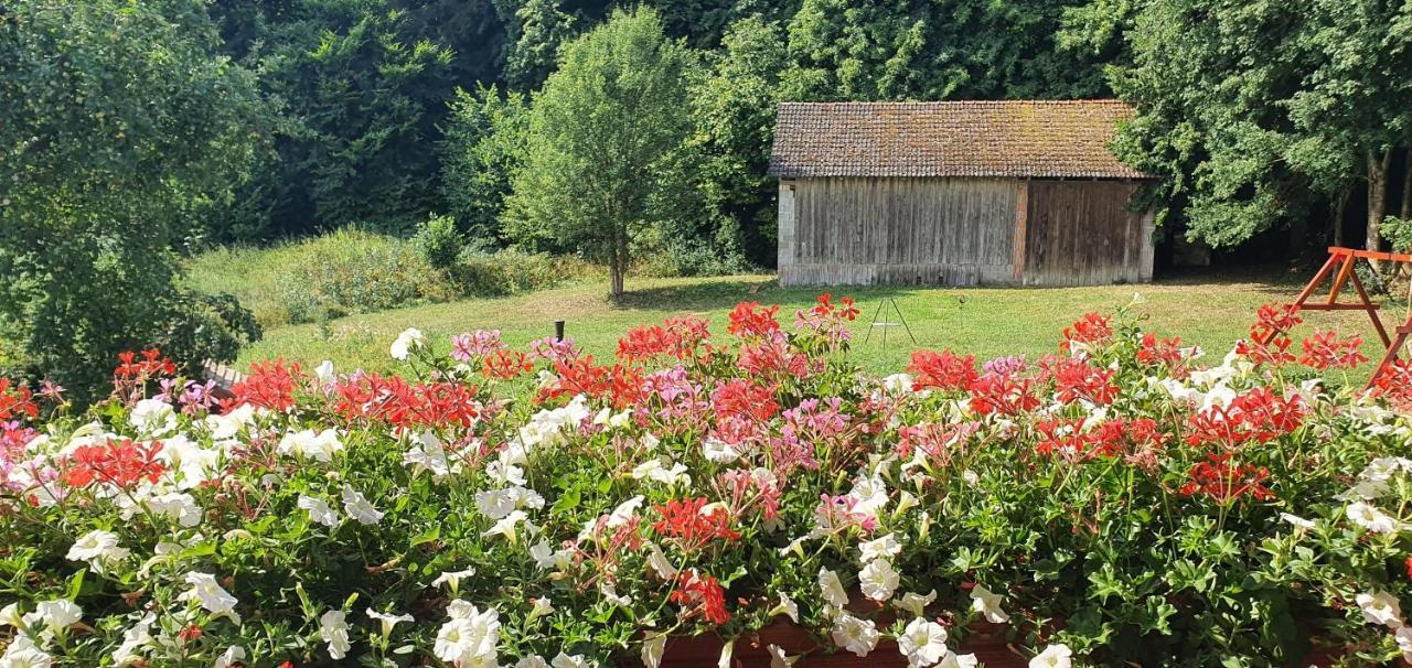 Gasthaus Zum Schneider Pottenstein Extérieur photo