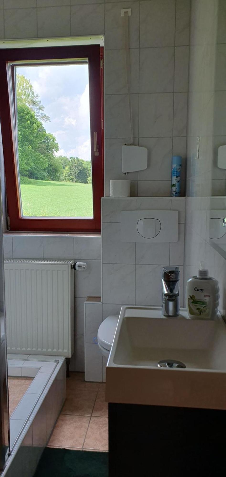 Gasthaus Zum Schneider Pottenstein Extérieur photo