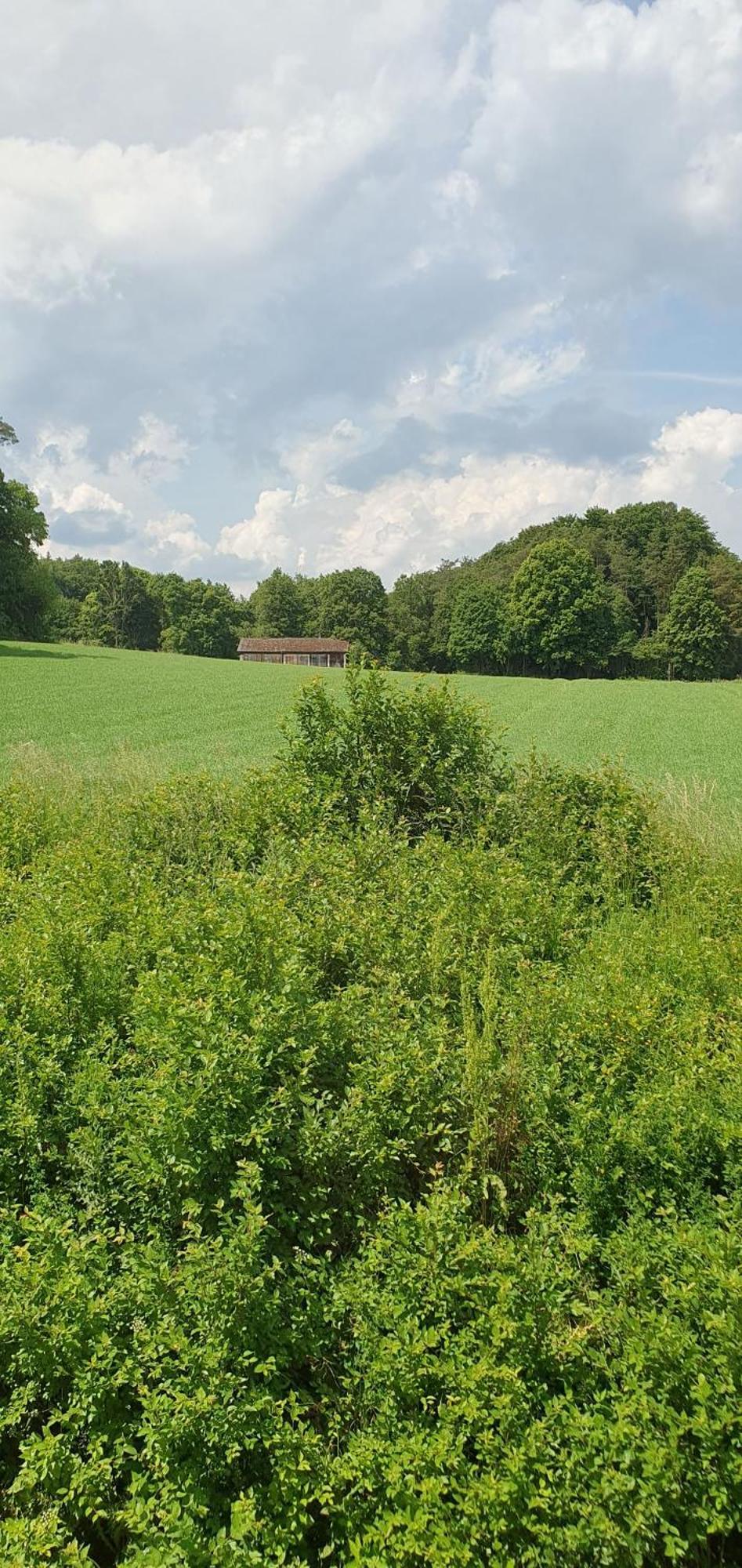 Gasthaus Zum Schneider Pottenstein Extérieur photo